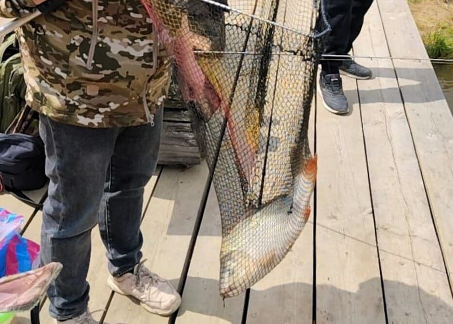 Офисы по адресу 